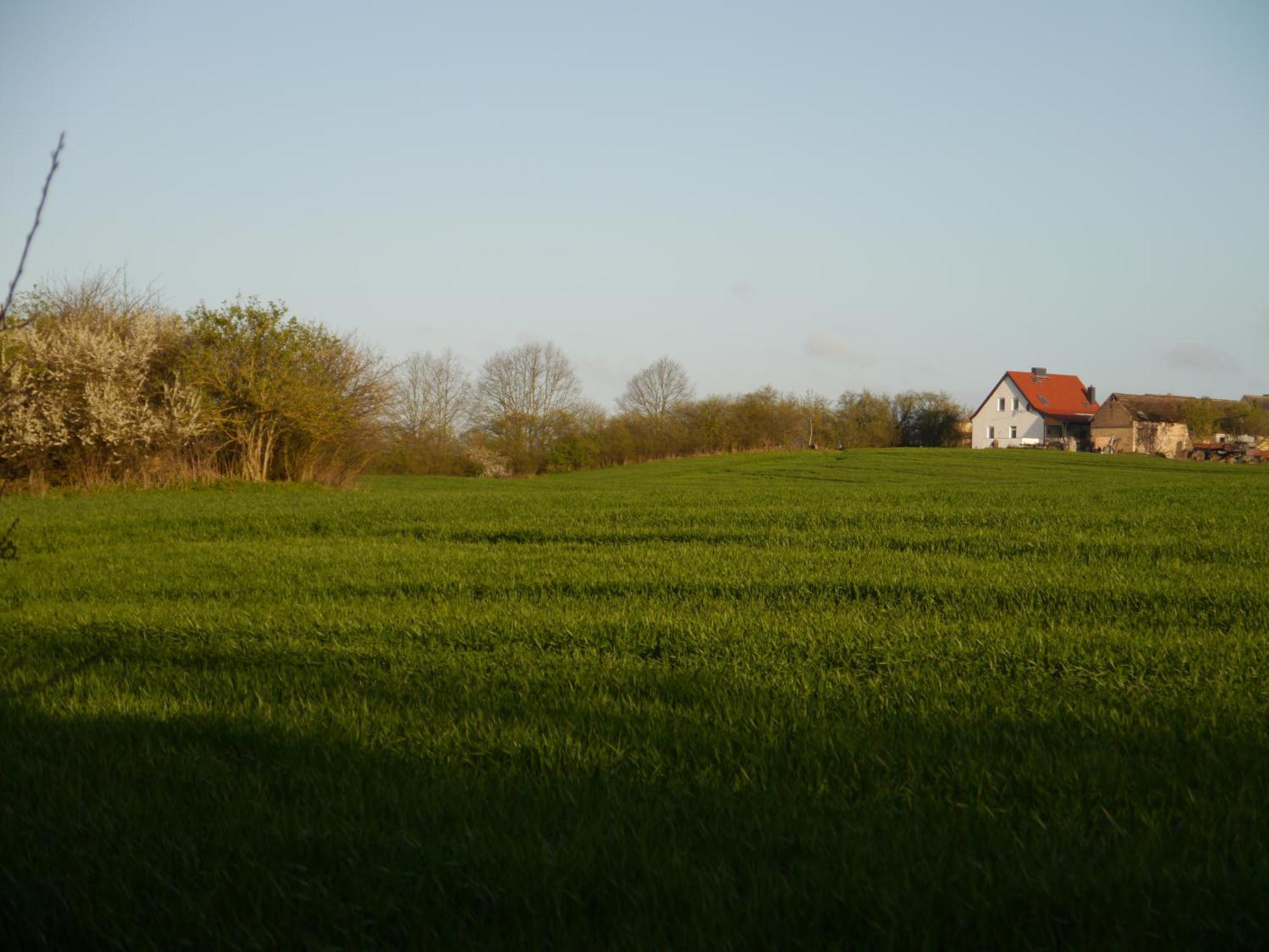 Ferienhaus-Uckermarkblick Rosenow  ภายนอก รูปภาพ