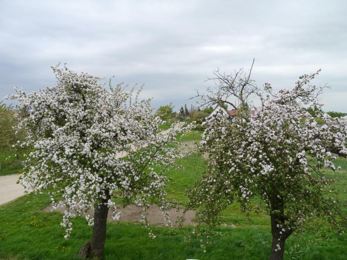 Ferienhaus-Uckermarkblick Rosenow  ภายนอก รูปภาพ