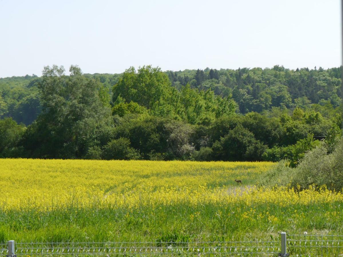 Ferienhaus-Uckermarkblick Rosenow  ภายนอก รูปภาพ